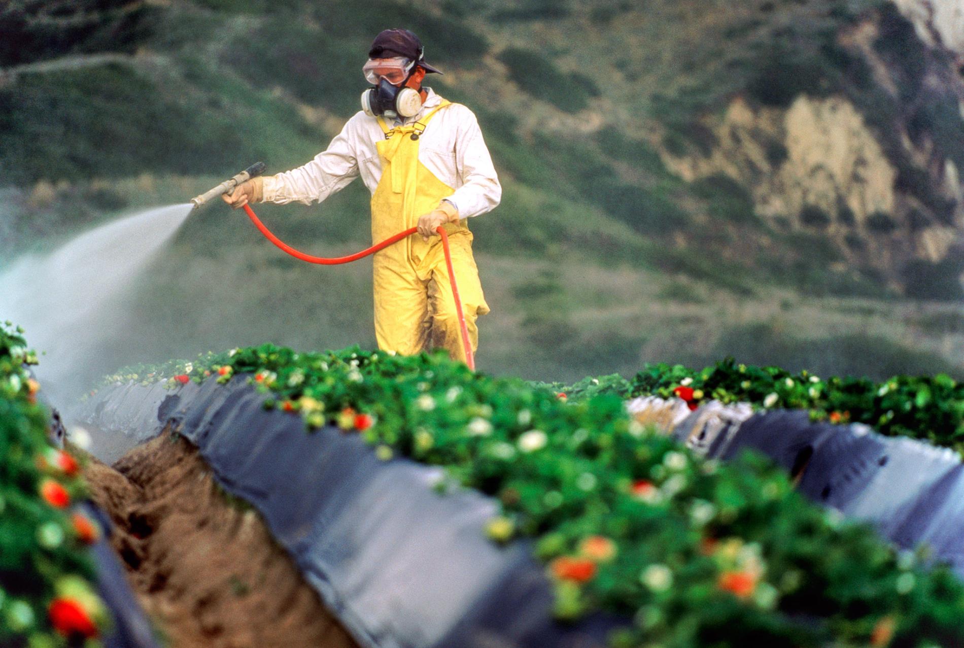 01 farmer pesticide plate ngsversion 1470148154800 adapt 1900 1