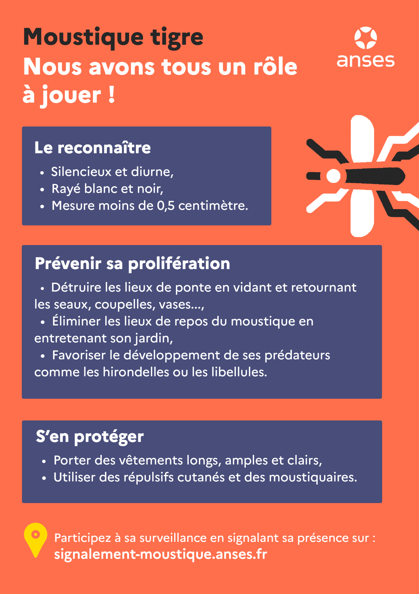 Infographie moustique