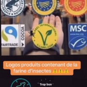 Screenshot 2025 06 12 at 23 19 26 produits contenant de la farine d insectes tiktok